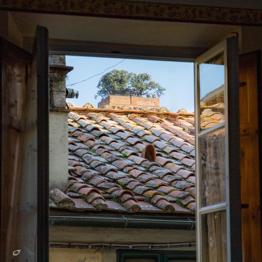 Casa Anna Appartement Lucca Buitenkant foto